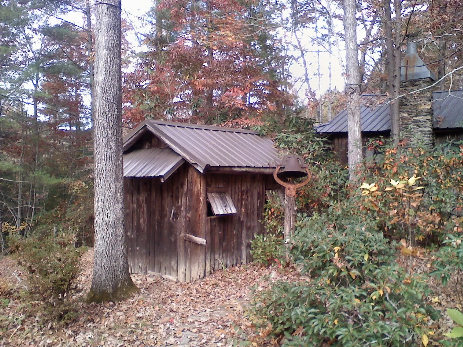 Small metal roof on a rough sawn shed in the woods in Millington